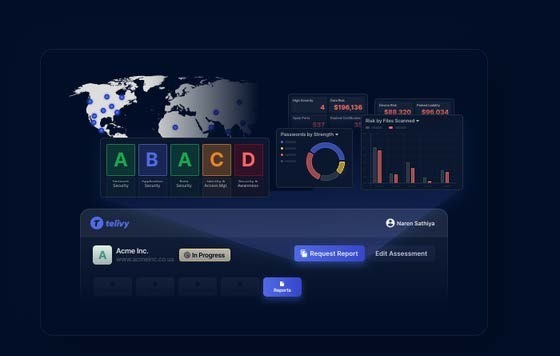 telivy-cyber-security-audit